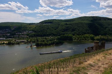 Güneşin güzel bir günde vadiyi aydınlattığı yürüyüş parkurundan Almanya 'nın Bingen am Rhein manzarası