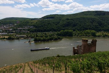 Güneşin güzel bir günde vadiyi aydınlattığı yürüyüş parkurundan Almanya 'nın Bingen am Rhein manzarası