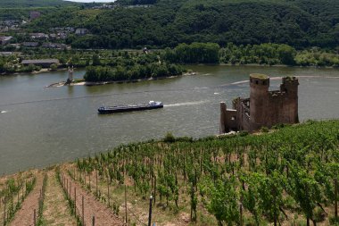 Güneşin güzel bir günde vadiyi aydınlattığı yürüyüş parkurundan Almanya 'nın Bingen am Rhein manzarası