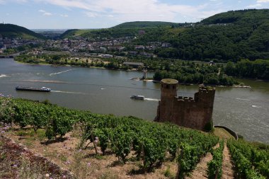 Güneşin güzel bir günde vadiyi aydınlattığı yürüyüş parkurundan Almanya 'nın Bingen am Rhein manzarası
