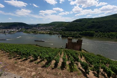 Güneşin güzel bir günde vadiyi aydınlattığı yürüyüş parkurundan Almanya 'nın Bingen am Rhein manzarası
