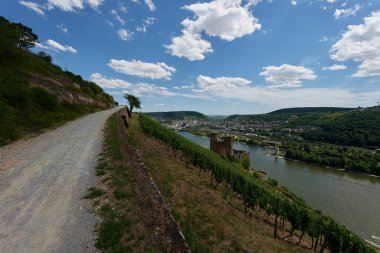 Güneşin güzel bir günde vadiyi aydınlattığı yürüyüş parkurundan Almanya 'nın Bingen am Rhein manzarası