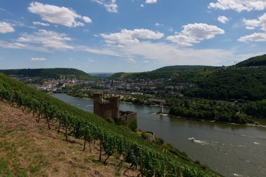 Güneşin güzel bir günde vadiyi aydınlattığı yürüyüş parkurundan Almanya 'nın Bingen am Rhein manzarası