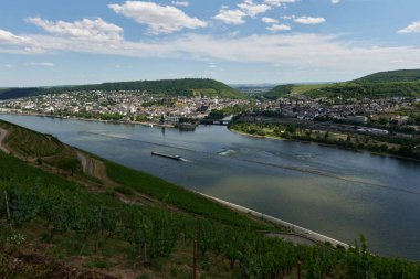 Güneşin güzel bir günde vadiyi aydınlattığı yürüyüş parkurundan Almanya 'nın Bingen am Rhein manzarası