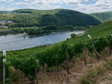 Güneşin güzel bir günde vadiyi aydınlattığı yürüyüş parkurundan Almanya 'nın Bingen am Rhein manzarası