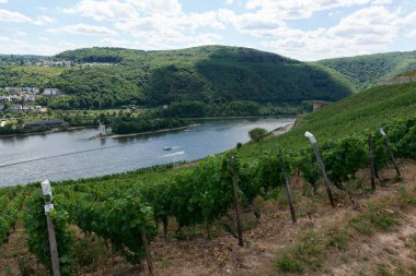 Güneşin güzel bir günde vadiyi aydınlattığı yürüyüş parkurundan Almanya 'nın Bingen am Rhein manzarası