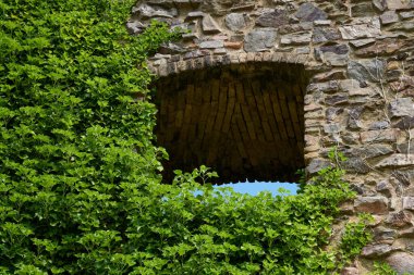 Güneşin güzel bir günde vadiyi aydınlattığı yürüyüş parkurundan Almanya 'nın Bingen am Rhein manzarası
