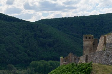 Güneşin güzel bir günde vadiyi aydınlattığı yürüyüş parkurundan Almanya 'nın Bingen am Rhein manzarası