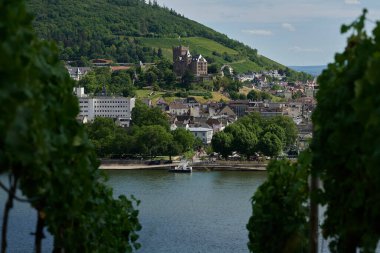 Güneşin güzel bir günde vadiyi aydınlattığı yürüyüş parkurundan Almanya 'nın Bingen am Rhein manzarası