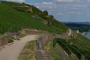 Güneşin güzel bir günde vadiyi aydınlattığı yürüyüş parkurundan Almanya 'nın Bingen am Rhein manzarası