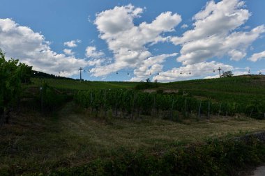 Güneşin güzel bir günde vadiyi aydınlattığı yürüyüş parkurundan Almanya 'nın Bingen am Rhein manzarası