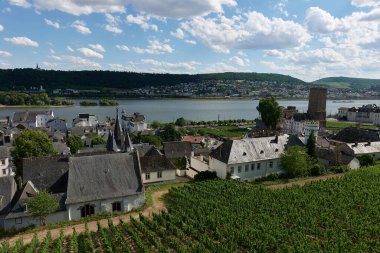 Güneşin güzel bir günde vadiyi aydınlattığı yürüyüş parkurundan Almanya 'nın Bingen am Rhein manzarası