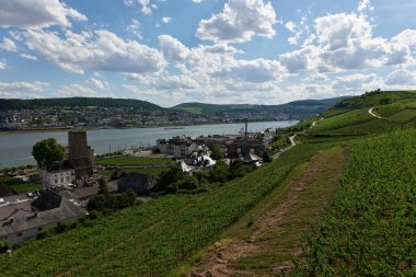 Güneşin güzel bir günde vadiyi aydınlattığı yürüyüş parkurundan Almanya 'nın Bingen am Rhein manzarası