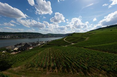 Güneşin güzel bir günde vadiyi aydınlattığı yürüyüş parkurundan Almanya 'nın Bingen am Rhein manzarası