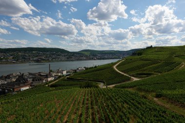 Güneşin güzel bir günde vadiyi aydınlattığı yürüyüş parkurundan Almanya 'nın Bingen am Rhein manzarası