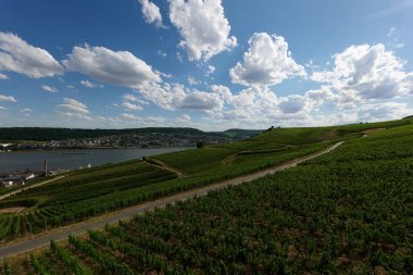 Güneşin güzel bir günde vadiyi aydınlattığı yürüyüş parkurundan Almanya 'nın Bingen am Rhein manzarası
