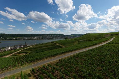 Güneşin güzel bir günde vadiyi aydınlattığı yürüyüş parkurundan Almanya 'nın Bingen am Rhein manzarası