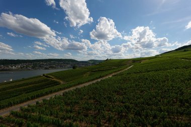 Güneşin güzel bir günde vadiyi aydınlattığı yürüyüş parkurundan Almanya 'nın Bingen am Rhein manzarası