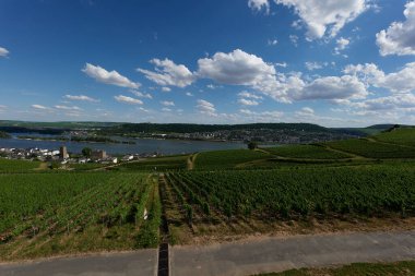 Güneşin güzel bir günde vadiyi aydınlattığı yürüyüş parkurundan Almanya 'nın Bingen am Rhein manzarası