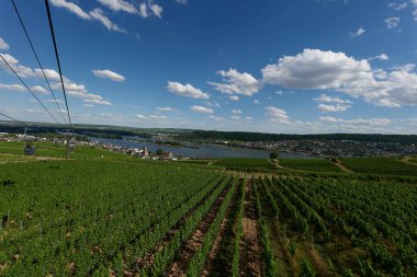 Güneşin güzel bir günde vadiyi aydınlattığı yürüyüş parkurundan Almanya 'nın Bingen am Rhein manzarası