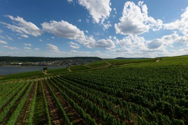 Güneşin güzel bir günde vadiyi aydınlattığı yürüyüş parkurundan Almanya 'nın Bingen am Rhein manzarası