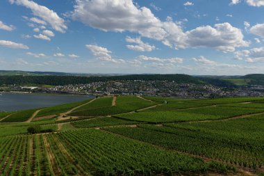 Güneşin güzel bir günde vadiyi aydınlattığı yürüyüş parkurundan Almanya 'nın Bingen am Rhein manzarası