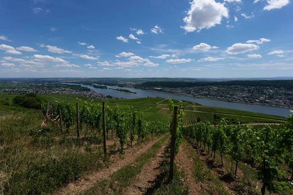 View Bingen Rhein Germany Hiking Trail Sun Just Illuminates Valley — Stockfoto