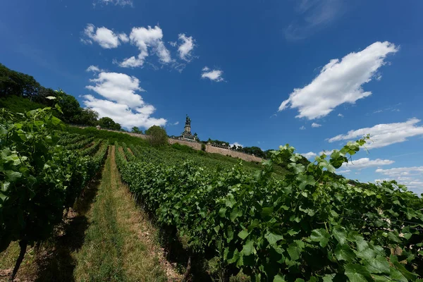Güneşin güzel bir günde vadiyi aydınlattığı yürüyüş parkurundan Almanya 'nın Bingen am Rhein manzarası
