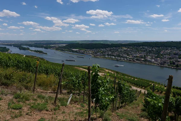 View Bingen Rhein Germany Hiking Trail Sun Just Illuminates Valley — Stock Photo, Image