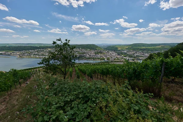 View Bingen Rhein Germany Hiking Trail Sun Just Illuminates Valley — Stock Photo, Image