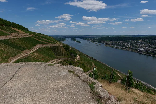 View Bingen Rhein Germany Hiking Trail Sun Just Illuminates Valley — Zdjęcie stockowe