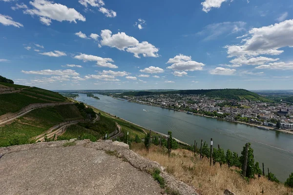 Une Vue Sur Bingen Rhein Allemagne Depuis Sentier Randonnée Car — Photo