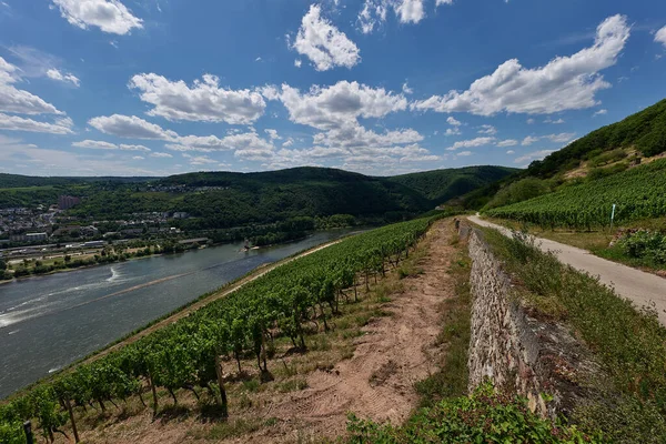 View Bingen Rhein Germany Hiking Trail Sun Just Illuminates Valley — 스톡 사진