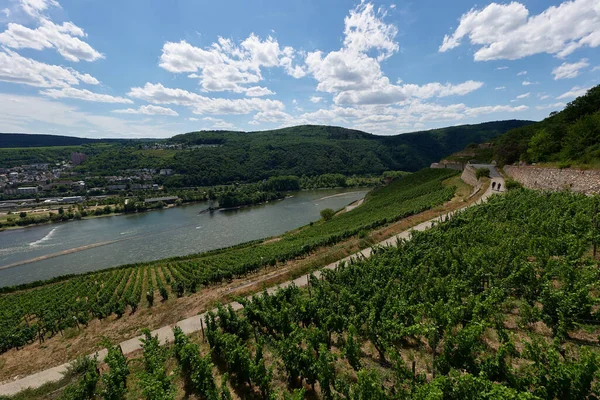 View Bingen Rhein Germany Hiking Trail Sun Just Illuminates Valley — Stock Photo, Image