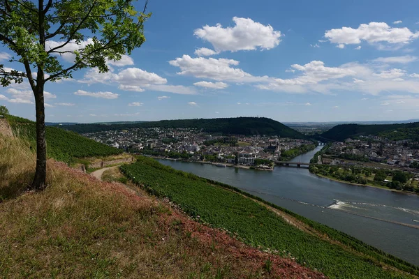 Pohled Bingen Rhein Německo Turistické Stezky Jako Slunce Právě Osvětluje — Stock fotografie