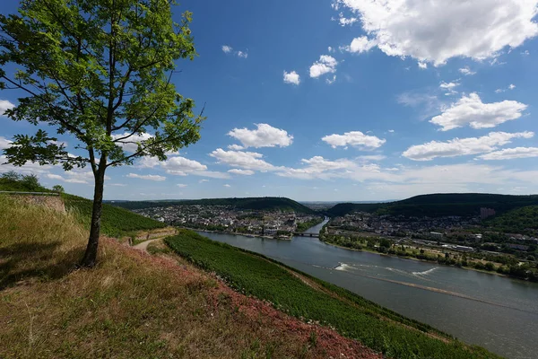 View Bingen Rhein Germany Hiking Trail Sun Just Illuminates Valley — Stock Photo, Image