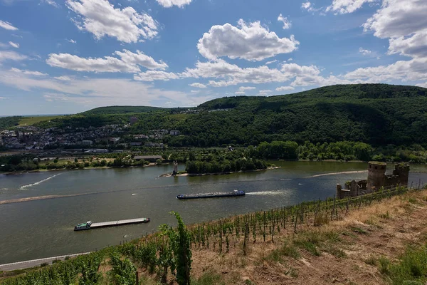 View Bingen Rhein Germany Hiking Trail Sun Just Illuminates Valley — Stock fotografie