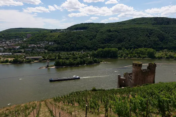 Güneşin güzel bir günde vadiyi aydınlattığı yürüyüş parkurundan Almanya 'nın Bingen am Rhein manzarası