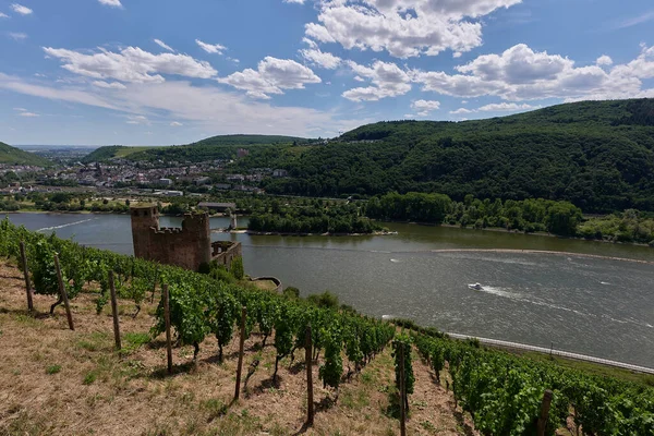 Una Vista Bingen Rhein Alemania Desde Ruta Senderismo Mientras Sol — Foto de Stock