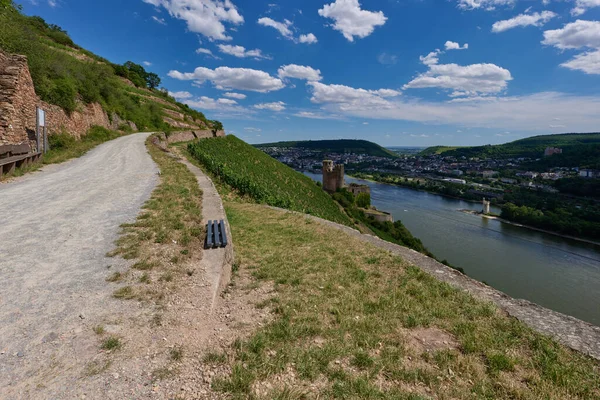 Widok Bingen Rhein Niemcy Szlaku Turystycznego Jak Słońce Oświetla Dolinę — Zdjęcie stockowe