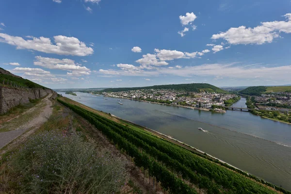 Una Vista Bingen Rhein Alemania Desde Ruta Senderismo Mientras Sol — Foto de Stock