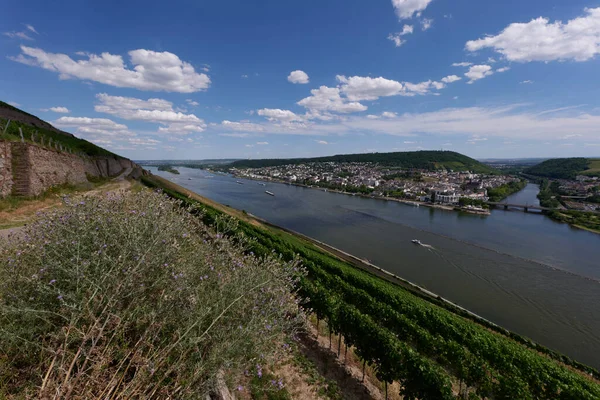 Pohled Bingen Rhein Německo Turistické Stezky Jako Slunce Právě Osvětluje — Stock fotografie