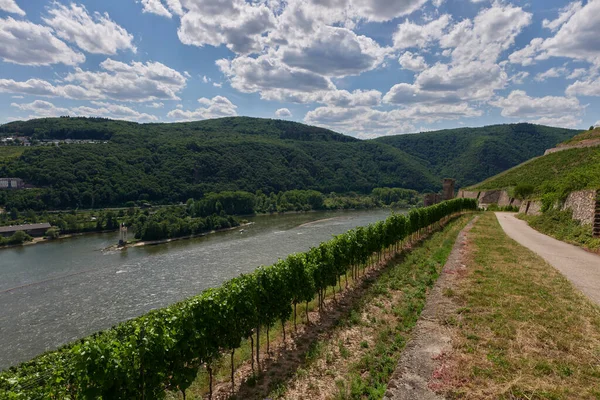 View Bingen Rhein Germany Hiking Trail Sun Just Illuminates Valley — Stock Photo, Image