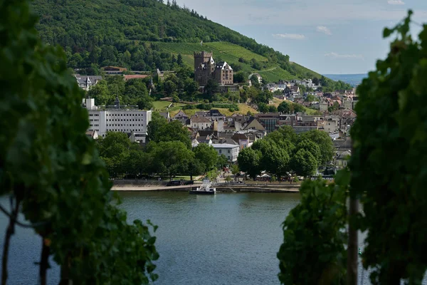 Güneşin güzel bir günde vadiyi aydınlattığı yürüyüş parkurundan Almanya 'nın Bingen am Rhein manzarası