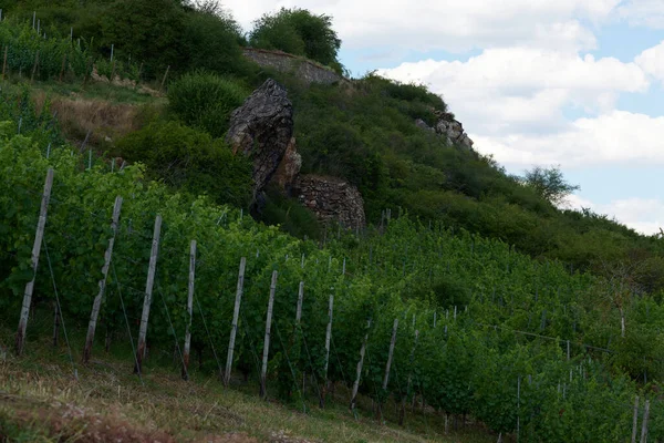 Güneşin güzel bir günde vadiyi aydınlattığı yürüyüş parkurundan Almanya 'nın Bingen am Rhein manzarası