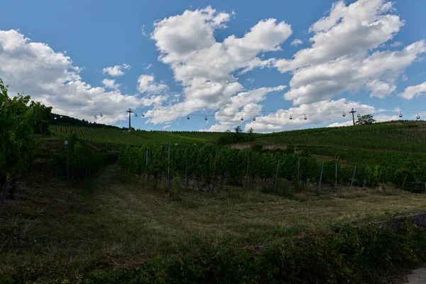 Güneşin güzel bir günde vadiyi aydınlattığı yürüyüş parkurundan Almanya 'nın Bingen am Rhein manzarası