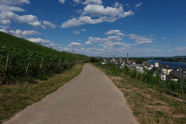 Güneşin güzel bir günde vadiyi aydınlattığı yürüyüş parkurundan Almanya 'nın Bingen am Rhein manzarası