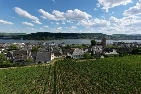 Güneşin güzel bir günde vadiyi aydınlattığı yürüyüş parkurundan Almanya 'nın Bingen am Rhein manzarası