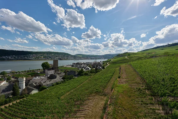 Güneşin güzel bir günde vadiyi aydınlattığı yürüyüş parkurundan Almanya 'nın Bingen am Rhein manzarası
