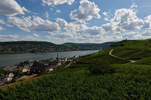 Pohled Bingen Rhein Německo Turistické Stezky Jako Slunce Právě Osvětluje — Stock fotografie